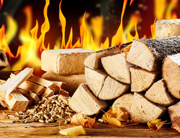 Assorted types of natural biofuels for heating in autumn with split logs, logs and pellets of compressed sawdust and chopped kindling in front of a burning fire